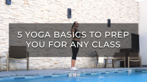 Yoga Basics Beginners Postures
